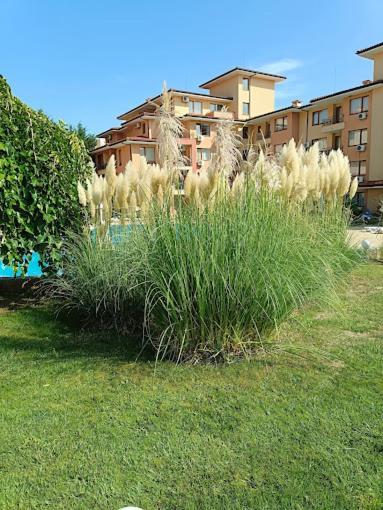 Magic Dreams Apartments Sveti Vlas Εξωτερικό φωτογραφία